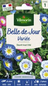 Belle de Jour Variée